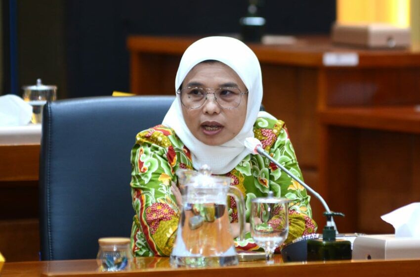 Anggota Komisi IX DPR RI dari Fraksi PKB, Neng Eem Marhamah Zulfa
