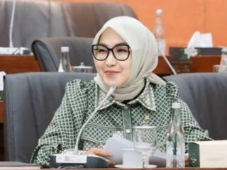 Website Danantara Dikritik, Legislator PKB Minta Reformasi Digital