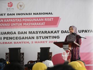 Adde Rosi: Kesehatan Mental Orang Tua Bisa Cegah Stunting Pada Anak